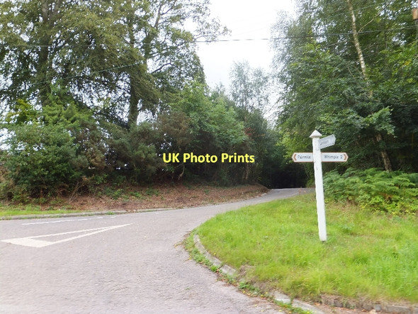 Photo 6"x4" Straightway Head Aller Grove c2011