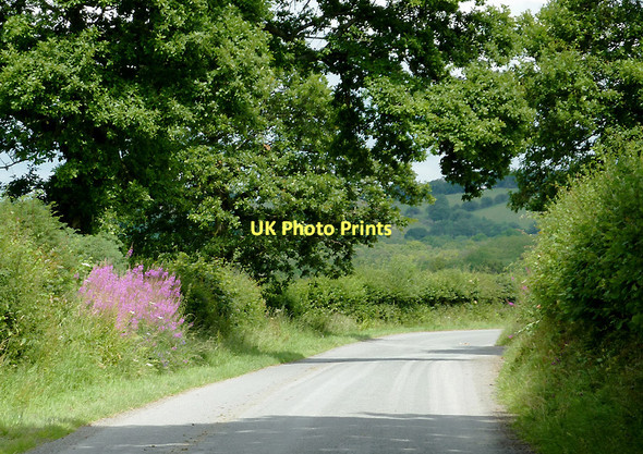 Photo 6"x4" Lane east of  Llwyn-y-Groes, Ceredigion Llwyn-y-groes\/SN5956 c2011