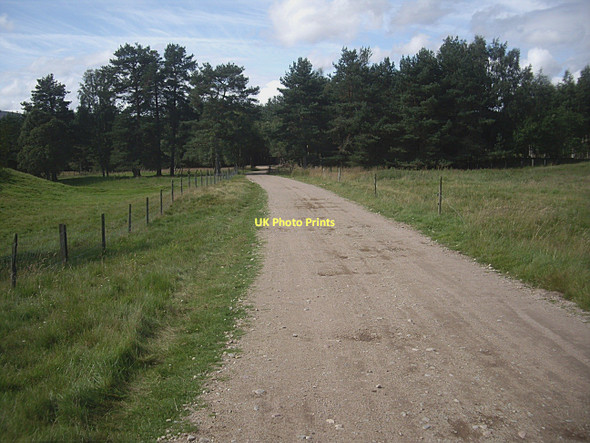 Photo 6"x4" Track from Dalbreak to Cuttieshillock Strachan c2011