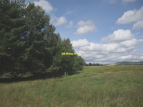 Photo 6"x4" Plantation edge near Dalbreak Strachan c2011