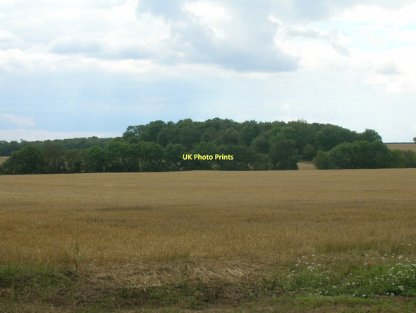 Photo 6"x4" Farmland south off King's Wood Stone\/SK5589 c2011