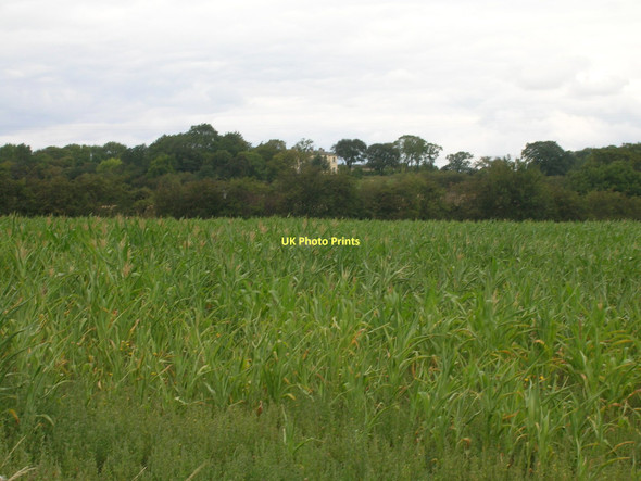 Photo 6"x4" Farmland off Limekiln Lane Stainton\/SK5593 c2011