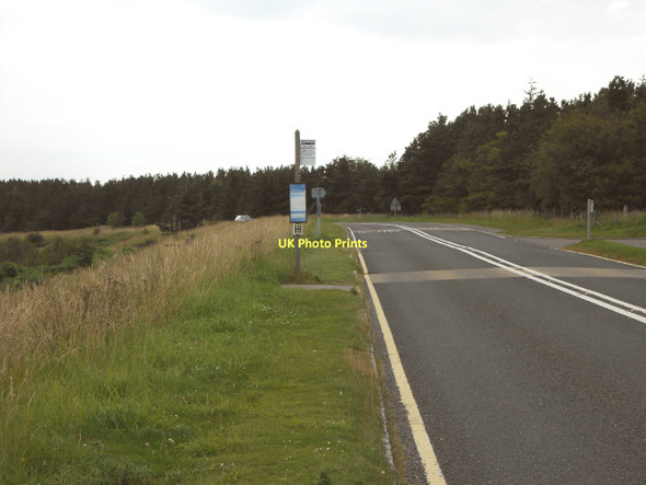 Photo 6"x4" A169 towards Whitby Levisham c2011