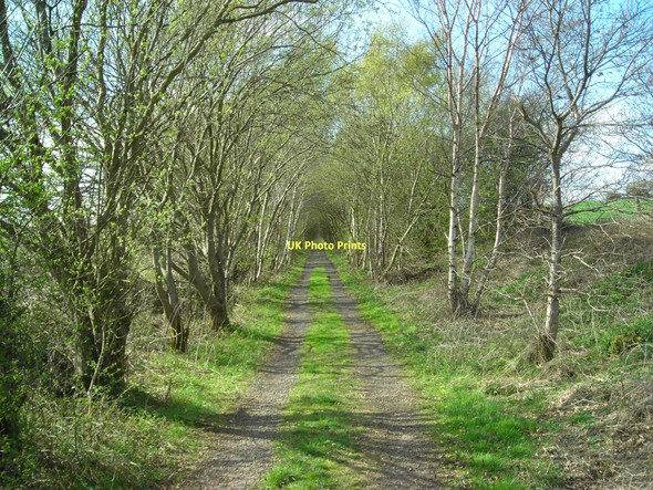 Photo 6"x4" Former railway track (in spring) Sutton In Ashfield c2011