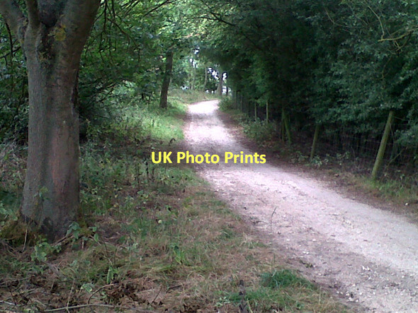 Photo 6"x4" Rutland Water cycle track Egleton c2011