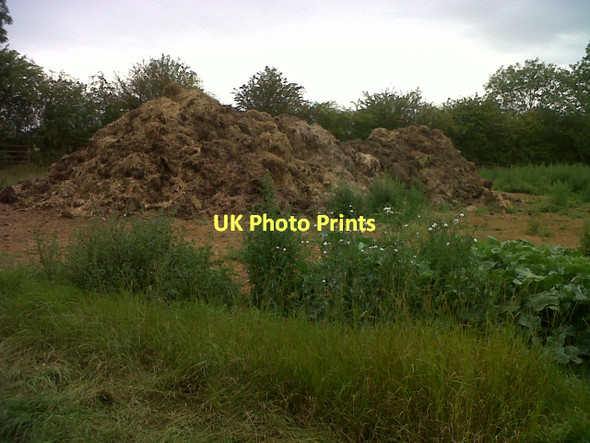 Photo 6"x4" Manure heap Egleton c2011