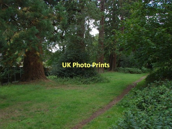 Photo 6"x4" Heatherside Wellintonia Avenue Camberley c2011