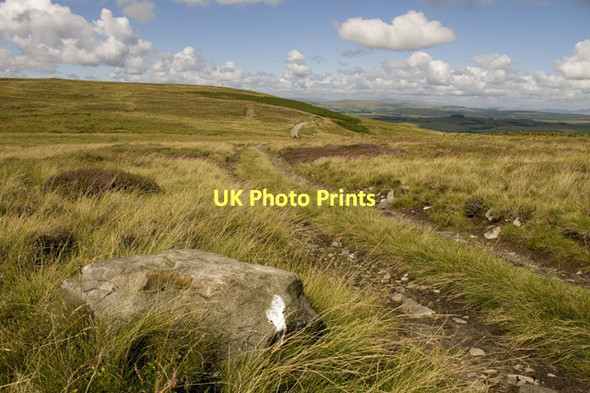 Photo 6"x4" Track on Easington Fell Easington\/SD7050 c2011