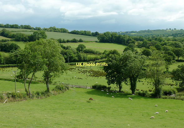 Photo 6"x4" Farmland south-west of Llwyn-y-Groes, Ceredigion Llwyn-y-groes\/SN5956 c2011