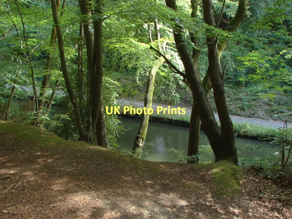 Photo 6"x4" Basingstoke Canal Frimley c2011