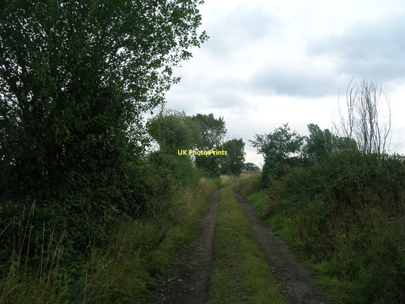 Photo 6"x4" Rakes Lane heading east Loversall c2011