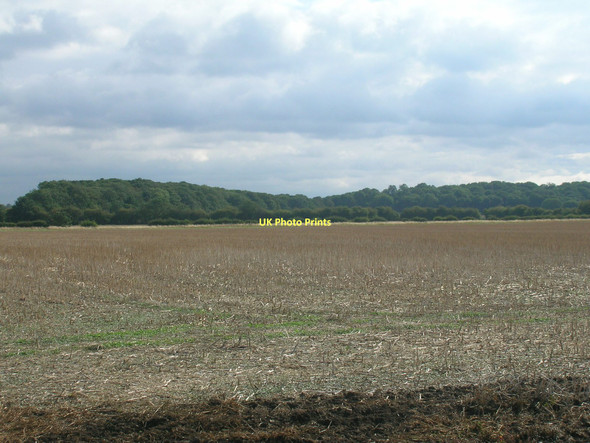 Photo 6"x4" Farmland, Stancil Carr New Rossington c2011
