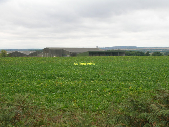 Photo 6"x4" Farmland, Hunster Grange Farm New Rossington c2011