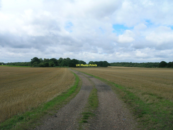 Photo 6"x4" Farm track Finningley Park Hayfield Green\/SK6599 c2011