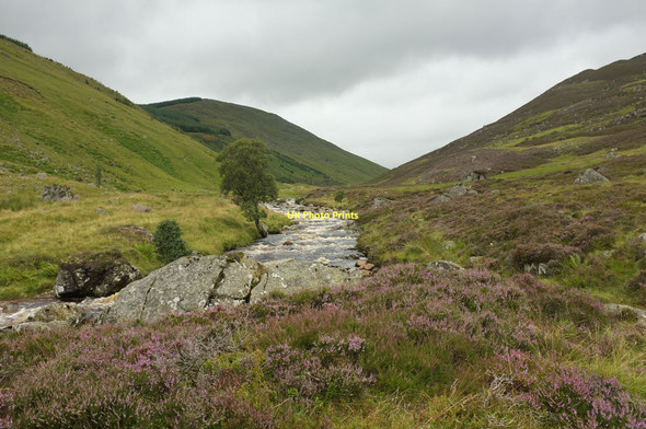 Photo 6"x4" Glen Lochsie Spittal of Glenshee c2011