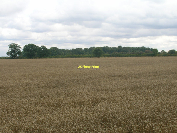 Photo 6"x4" Farmland off the A638 Austerfield c2011