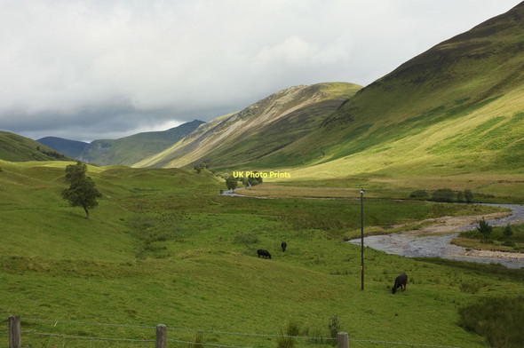 Photo 6"x4" Glen Taitneach in August Spittal of Glenshee c2011