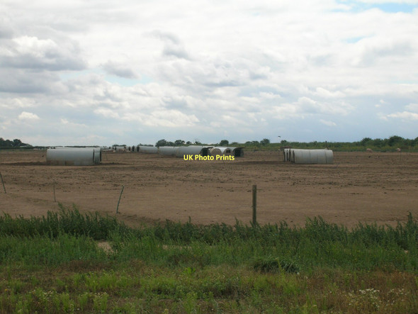 Photo 6"x4" Free range pig farming near Bawtry Bawtry c2011