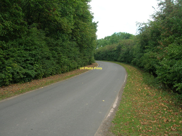 Photo 6"x4" Wellingley Lane Tickhill\/SK5993 c2011