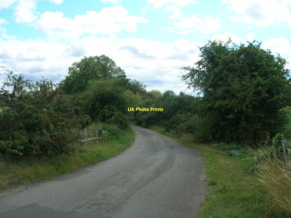 Photo 6"x4" Mill Lane towards Scrooby Scaftworth c2011