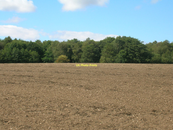 Photo 6"x4" Farmland near Bircotes Bircotes c2011