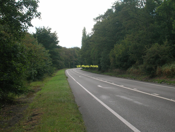 Photo 6"x4" A614 towards Blyth Serlby c2011