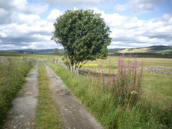 Photo 6"x4" Gated track to Balblythe Strachan c2011