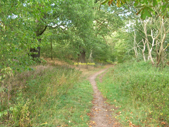 Photo 6"x4" Bridleway heading north Serlby c2011