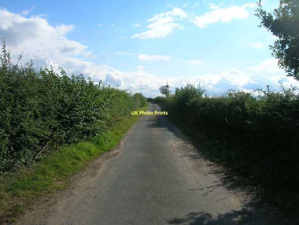 Photo 6"x4" Long Brecks Lane Blyth\/SK6287 c2011