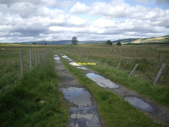 Photo 6"x4" Track to Balblythe Strachan c2011