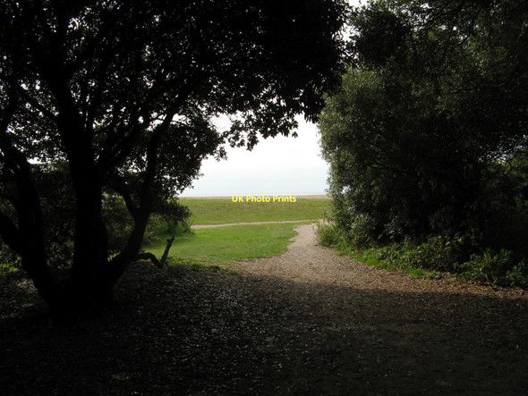 Photo 6"x4" South side of The Plantation Ferring c2011