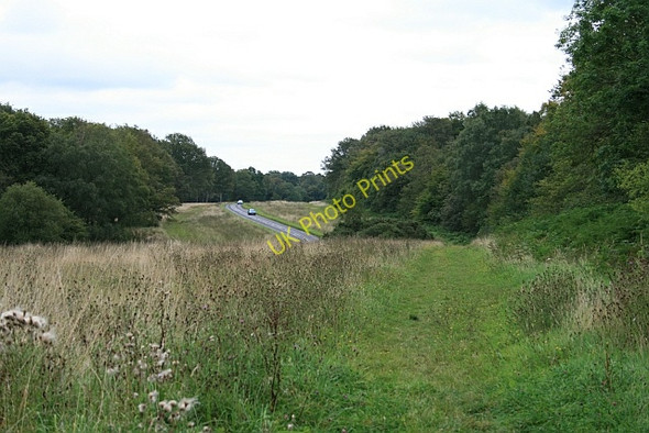 Photo 6"x4" Ranmore Common Road: east from Hole Hill Lane Ranmore Common\/TQ1450 c2009