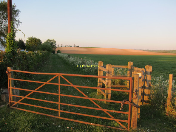 Photo 6"x4" Footpath to Bygrave Baldock c2011