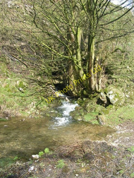 Photo 6"x4" Dowel Resurgence Glutton Bridge c2006