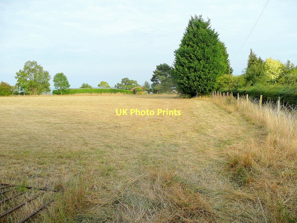 Photo 6"x4" Parched field, Woolridge Woolridge c2011