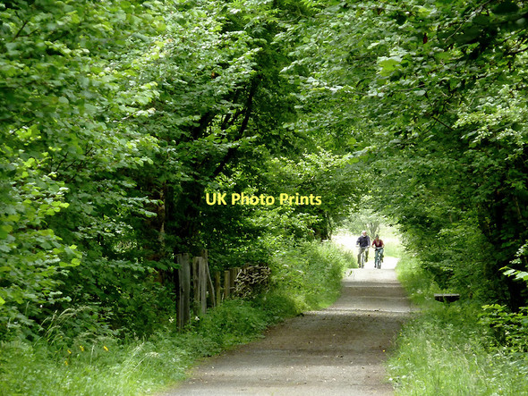 Photo 6"x4" Dismantled railway course near Tregaron, Ceredigion Tregaron c2011