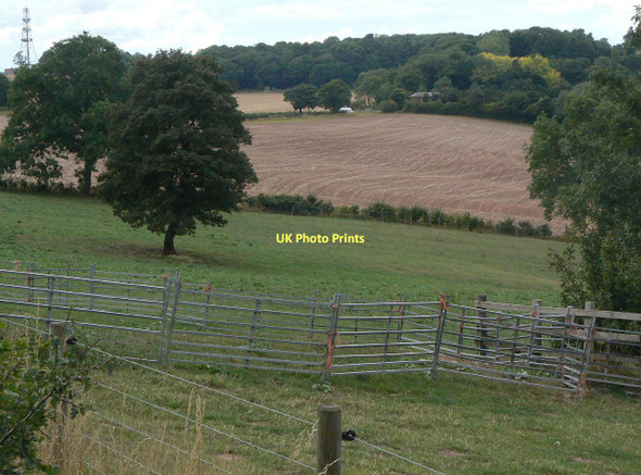 Photo 6"x4" Sheep pens Calverton\/SK6149 c2011