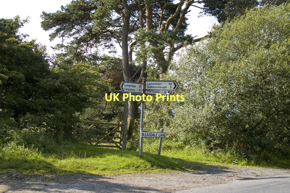 Photo 6"x4" Start of footpath to River Brock Bleasdale c2011