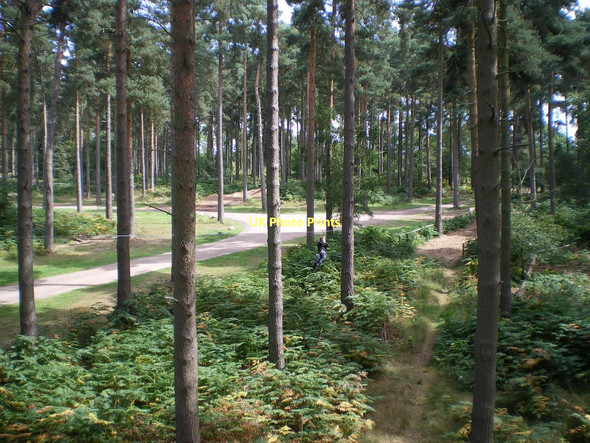 Photo 6"x4" Zipwire on the Go Ape course Rugeley c2011