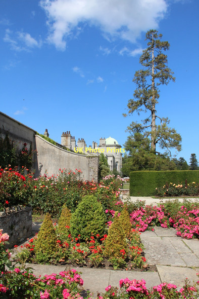 Photo 6"x4" Rose garden, Powerscourt, County Wicklow, Ireland Enniskerry c2011