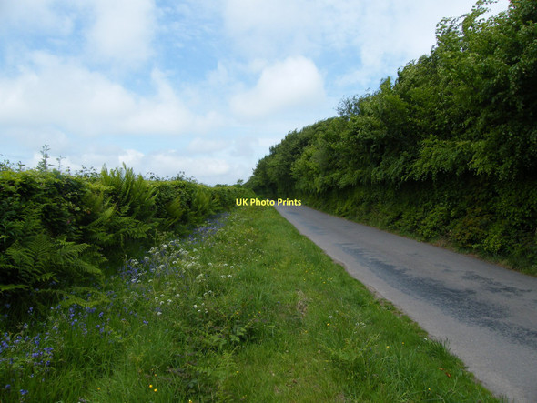 Photo 6"x4" Dulverton : Country Lane Dulverton c2011