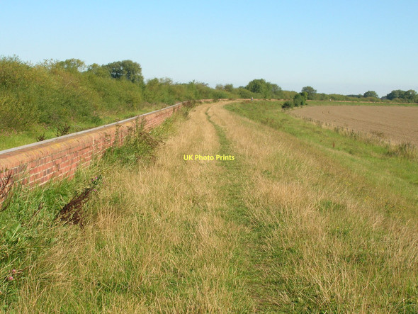 Photo 6"x4" Footpath on River Ouse floodbank Selby c2011