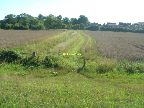 Photo 6"x4" Path towards Barlby Selby c2011