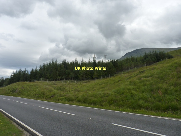 Photo 6"x4" Recent new wood next to A82 Buachaille Breige c2011
