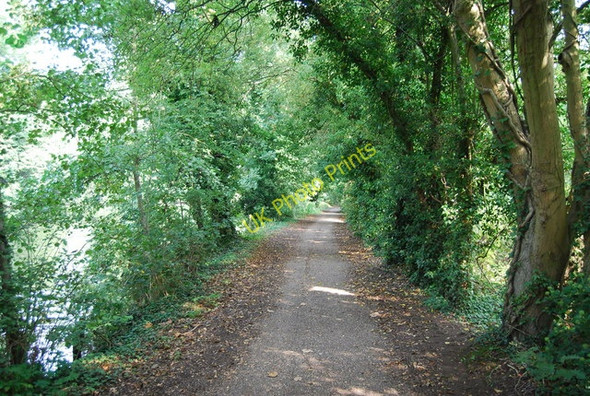 Photo 6"x4" The Medway Valley Walk Maidstone c2009