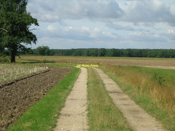 Photo 6"x4" Whinny Lane towards Moor End Kelfield\/SE5938 c2011