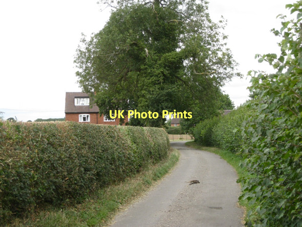 Photo 6"x4" Hipsley Lane  Hurley\/SP2496 c2011