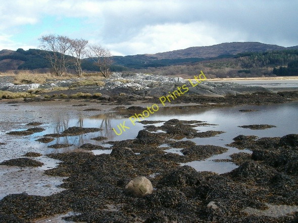 Photo 6"x4" Low tide on Loch Caolisport Achahoish c2006
