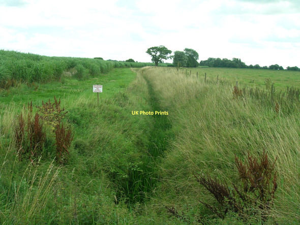 Photo 6"x4" Common Drain North Duffield c2011