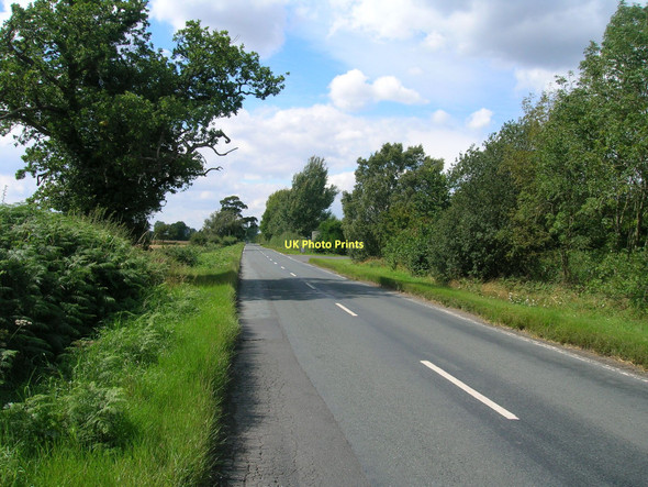 Photo 6"x4" Minor road towards Crockey Hill Wheldrake c2011